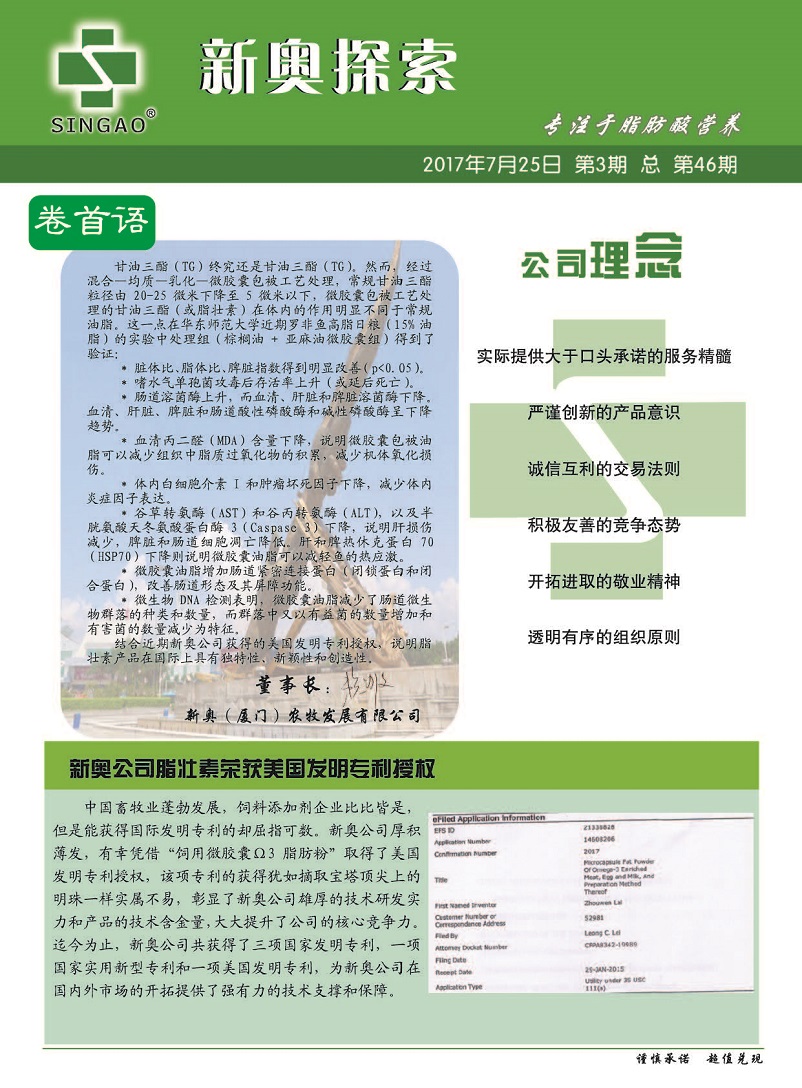 2025新奥正版资料免费提供,全面释义解释落实