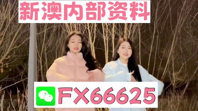 管家婆一码一肖100准,全面释义解释落实