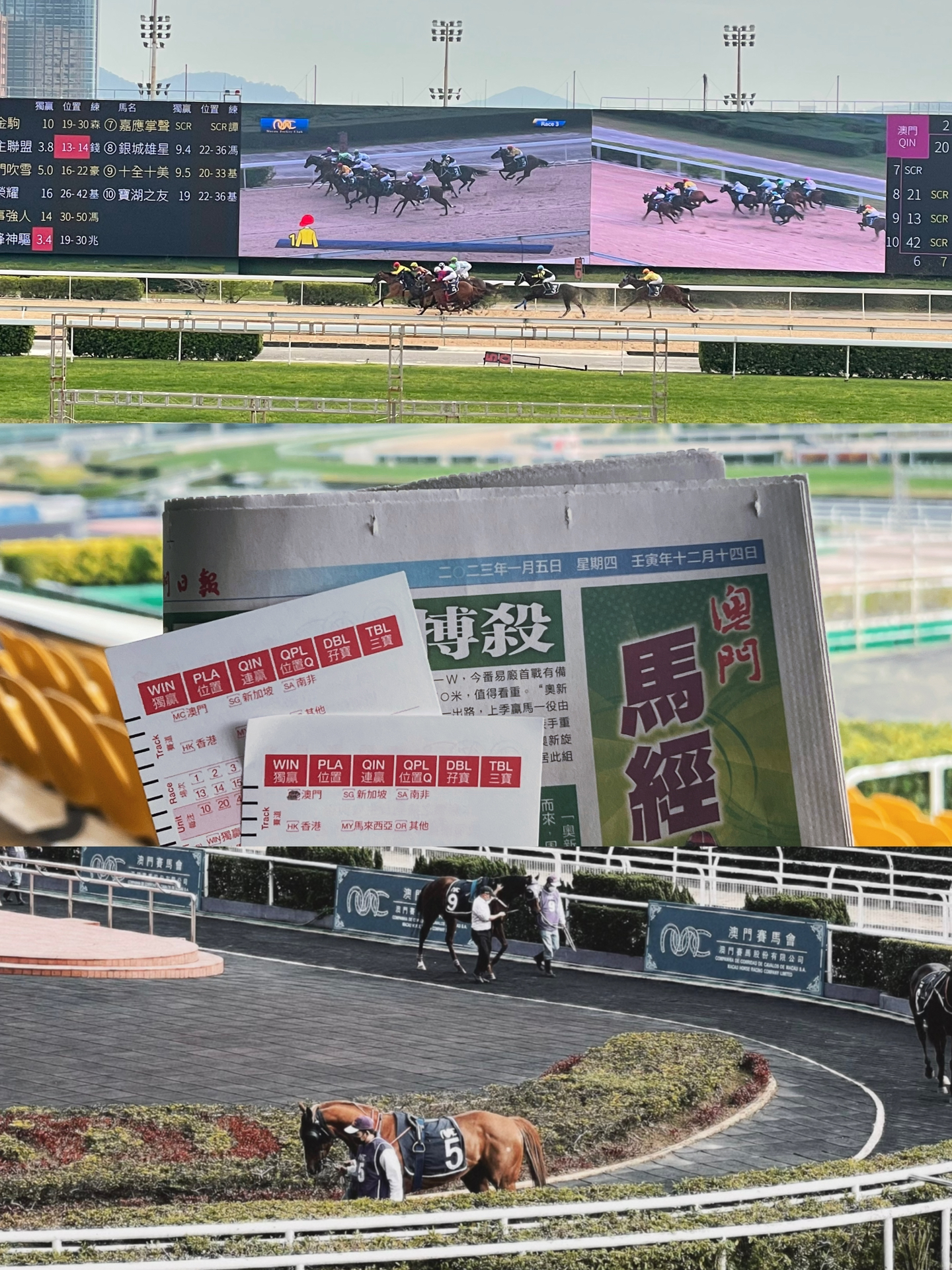 新澳门今晚开特马结果,全面释义解释落实
