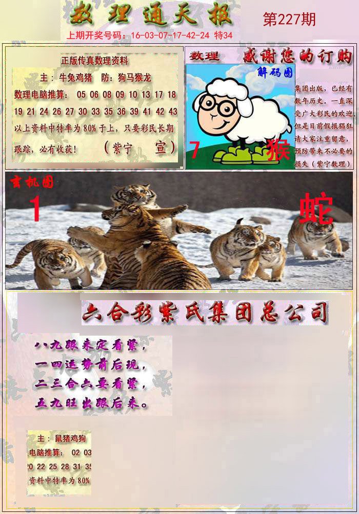 2025新奥正版资料四不像,全面释义解释落实
