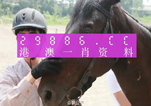 澳门一肖一码最准一码,全面释义解释落实