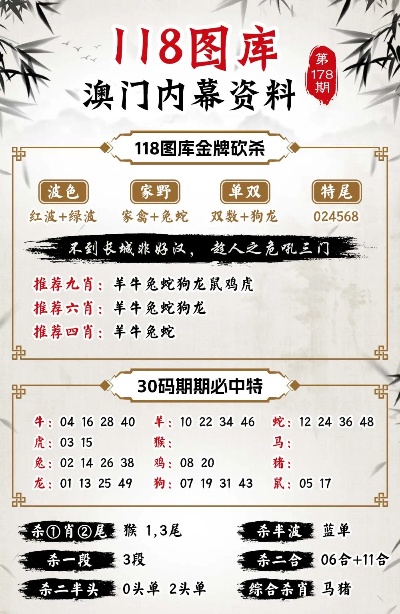 澳门白虎玄机精准玄武,全面释义解释落实
