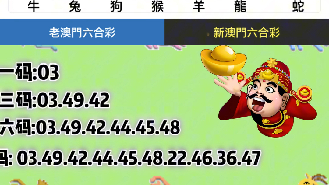 2025澳门六今晚开奖记录,全面释义解释落实