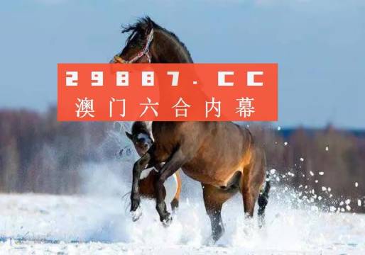 澳门今晚一肖必中特,全面释义解释落实