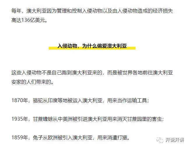 2004新澳正版兔费大全,全面释义解释落实