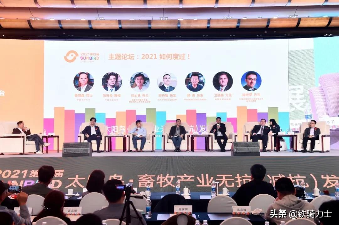 新奥特料免费资料查询,全面释义解释落实