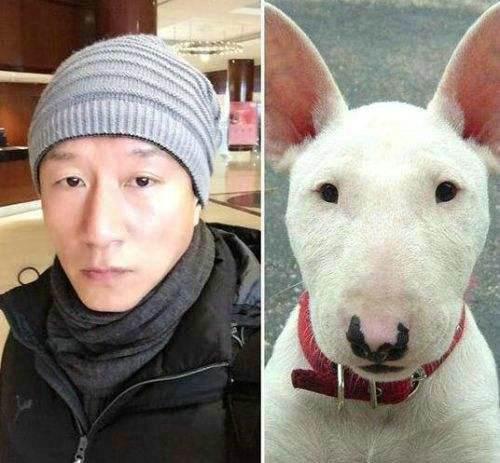 正版四不像四不像肖免费公开,全面释义解释落实