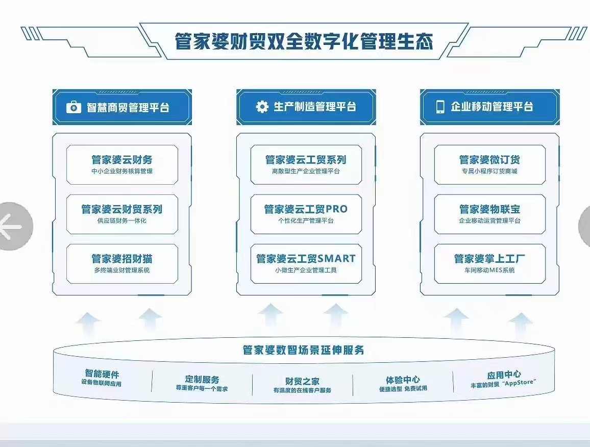 管家婆的资料一肖中特7,全面释义解释落实