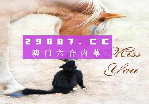 澳门开奖4949,全面释义解释落实