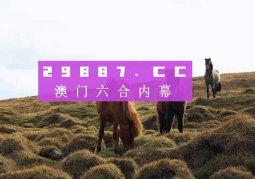 新澳门开奖结果2025开奖记录,全面释义解释落实