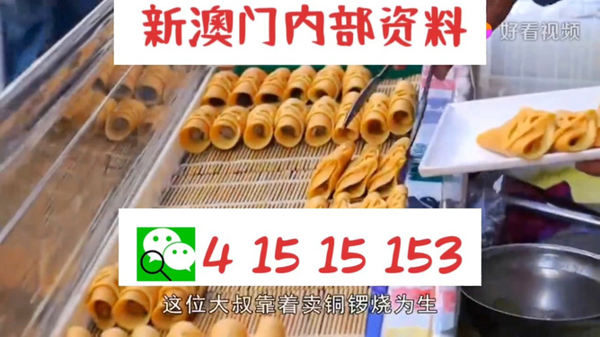 2004年澳门天天开好彩大全,全面释义解释落实