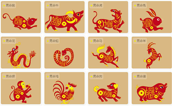 今晚必开什么生肖,全面释义解释落实