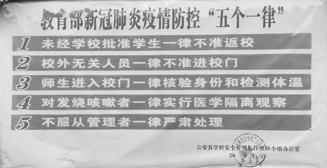 新澳门三中三码精准100%,全面释义解释落实