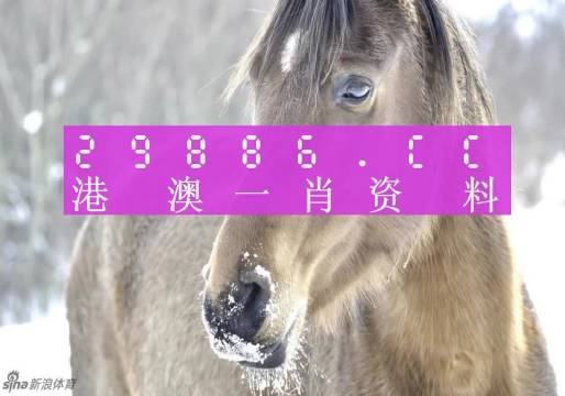 资讯 第379页