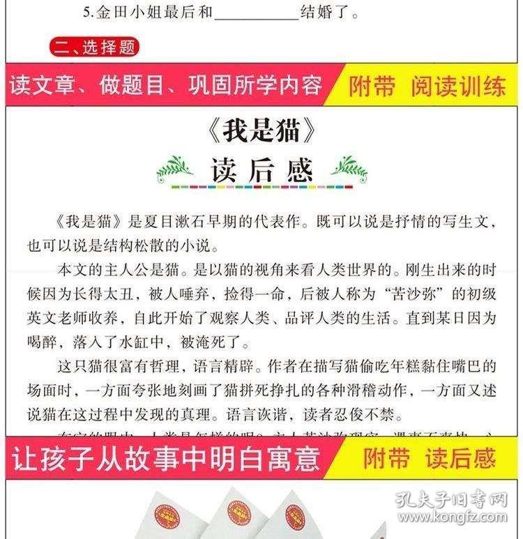 新澳天天开奖资料大全600Tk,全面释义解释落实