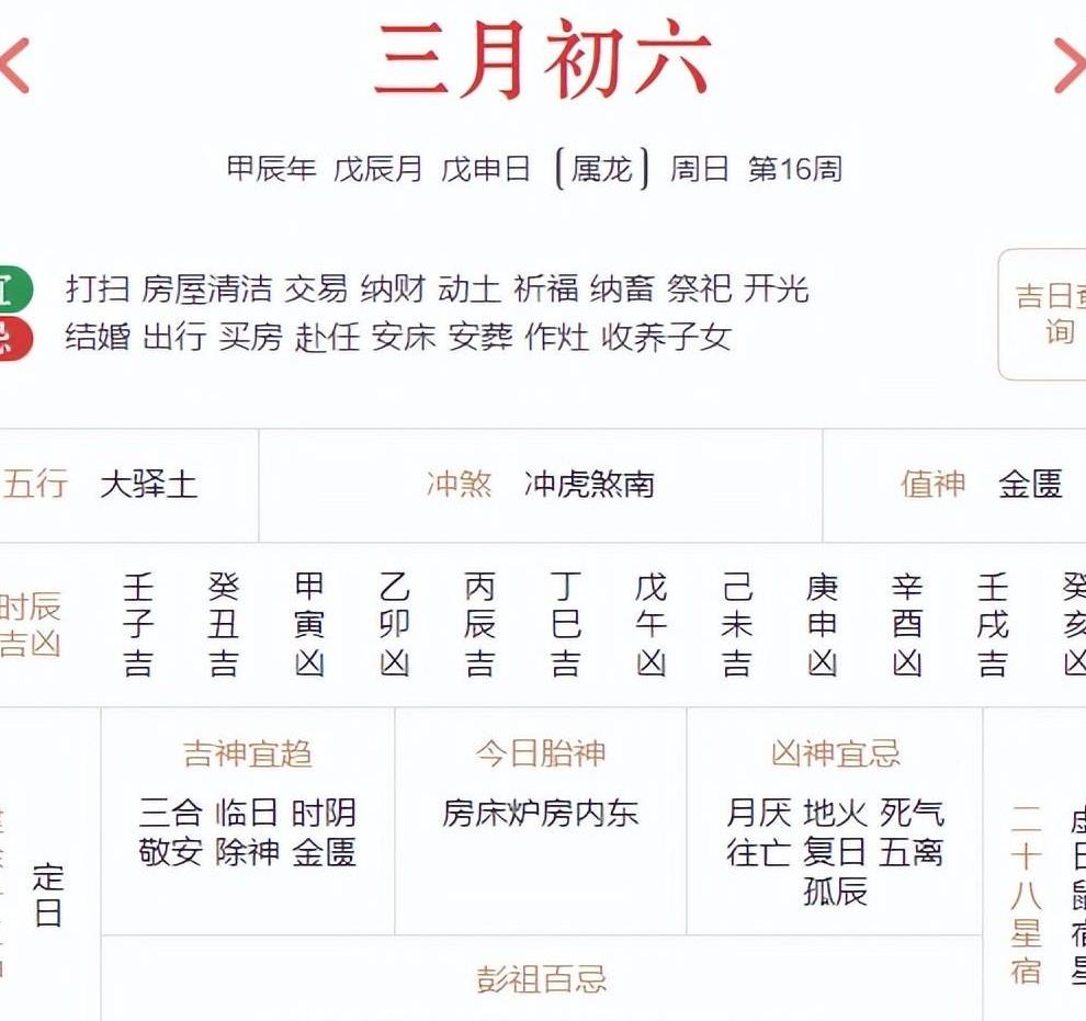 2025十二生肖49个码,全面释义解释落实