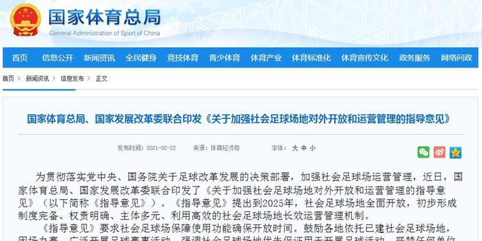 2025年新奥开奖结果查询,全面释义解释落实