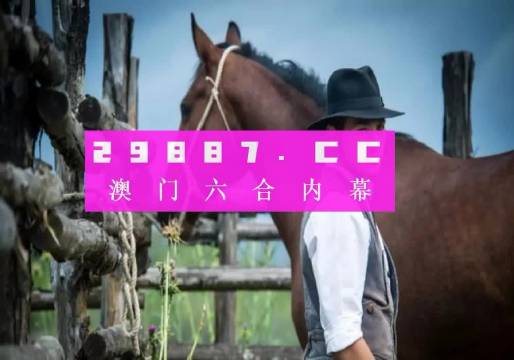 澳门正版一肖一码,全面释义解释落实