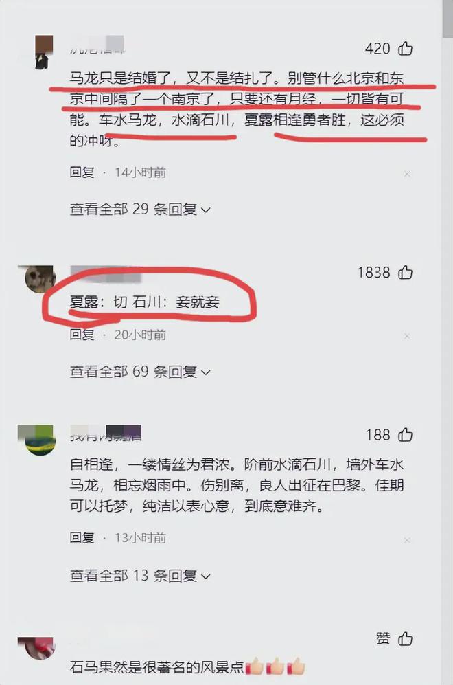 一码一肖一特一中2025,全面释义解释落实