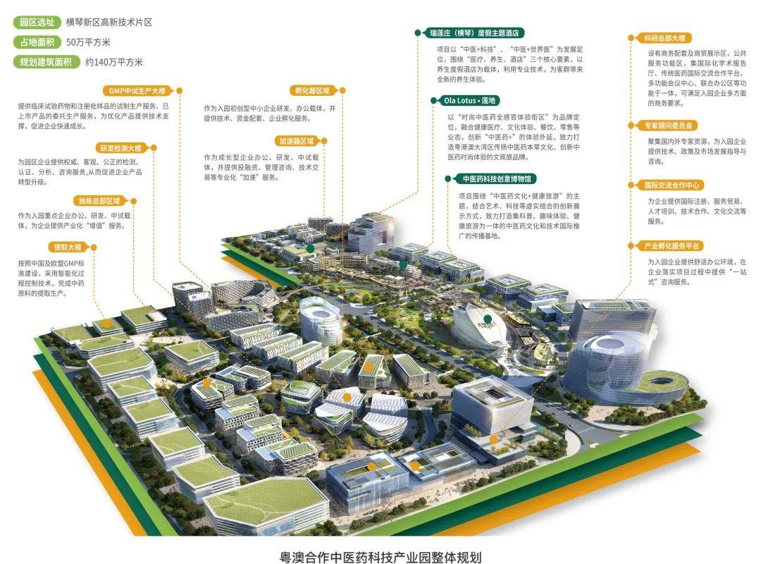 新2025澳门兔费资料,全面释义解释落实