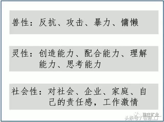 三肖三期必出特肖资料,全面释义解释落实