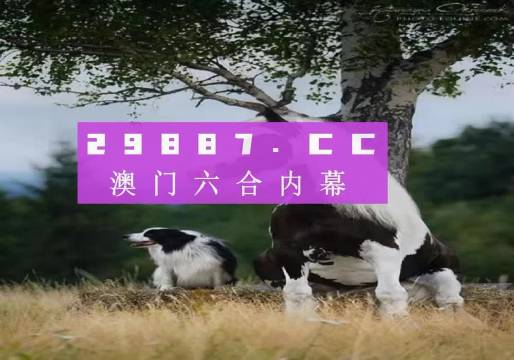 澳门今晚开特马四不像图,全面释义解释落实