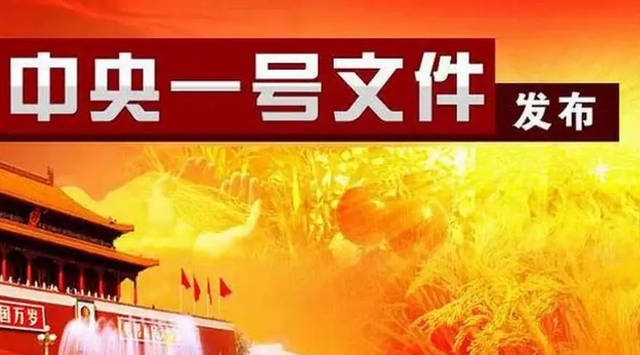 管家婆一肖一马一中一特,全面释义解释落实