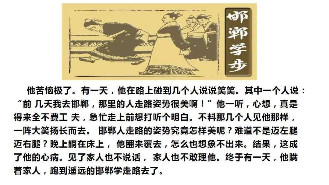 四不像正版资料凤凰,全面释义解释落实