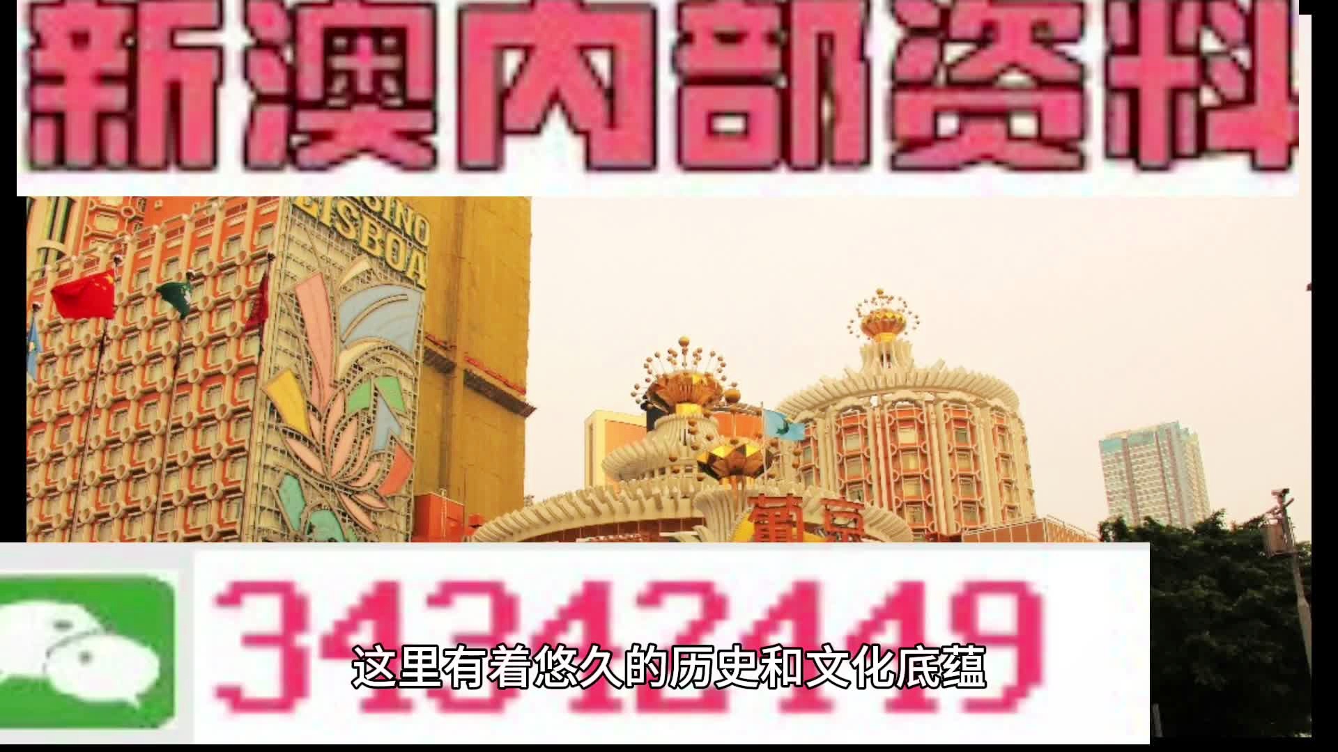 新奥门正版免费资料怎么查,全面释义解释落实