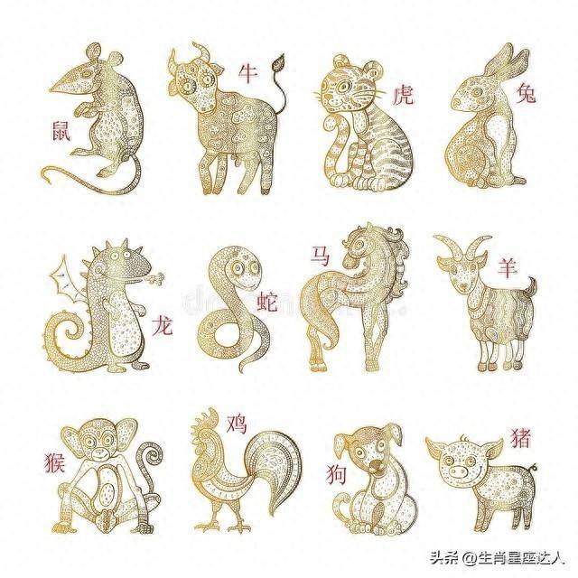 新澳门出最准生肖,全面释义解释落实