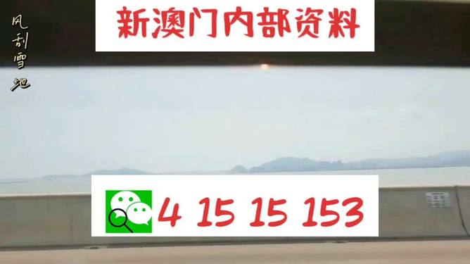 澳门天天彩期期精准十二生肖,全面释义解释落实