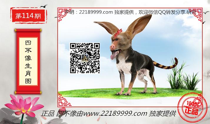 四不像特马图今晚必出,全面释义解释落实