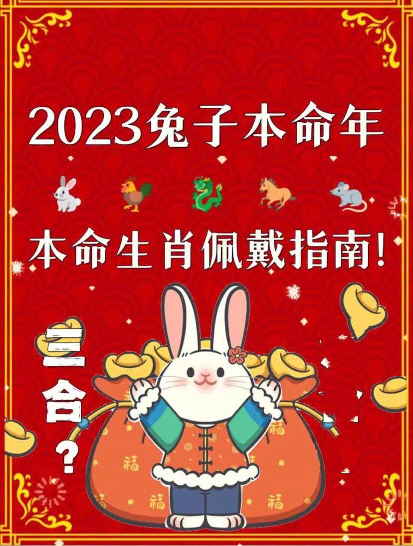 今天晚上澳门三肖兔羊蛇,全面释义解释落实