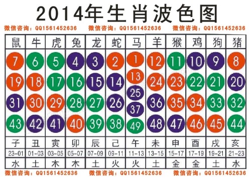 2025十二生肖49码表,全面释义解释落实