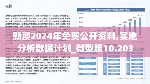 新澳2025年精准正版资料,全面释义解释落实