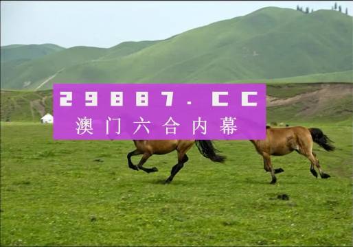 全网最精准澳门资料龙门客栈澳,全面释义解释落实