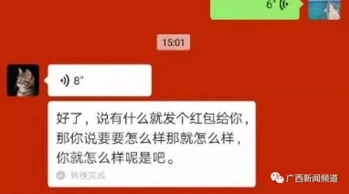 一码一肖100准确使用方法,全面释义解释落实