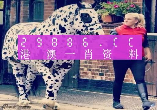 澳门王中王一肖一中一码,全面释义解释落实
