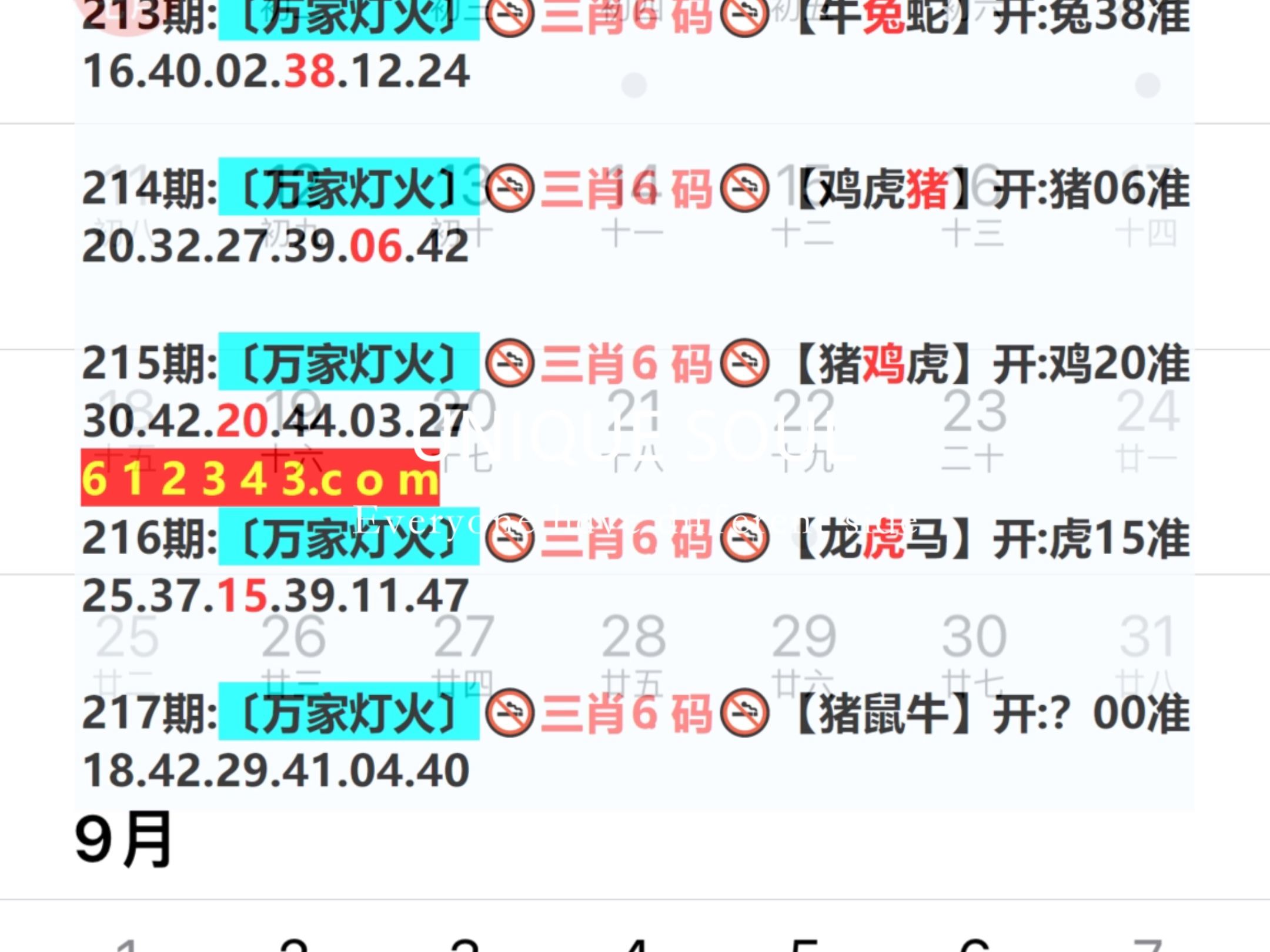 新闻 第326页