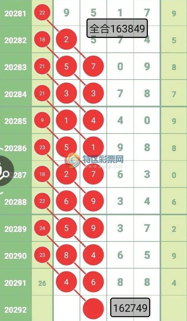 2025今晚必中四不像图片,全面释义解释落实