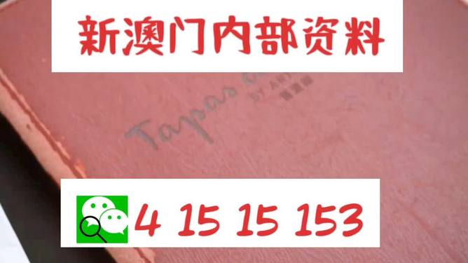 新澳门精准资料大全管家资料,全面释义解释落实