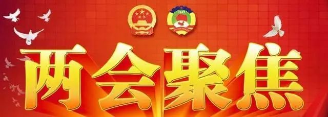 管家婆期期准精选资料大全苗而不公,全面释义解释落实