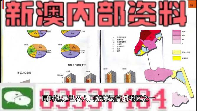 新澳门免费资料大全正版,全面释义解释落实
