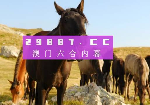 2025澳门管家婆一肖,全面释义解释落实