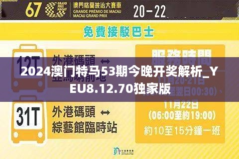 新澳门今期特马,全面释义解释落实