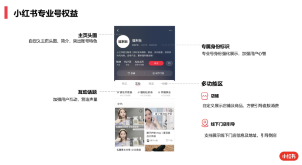 小红书怎么升级最新版