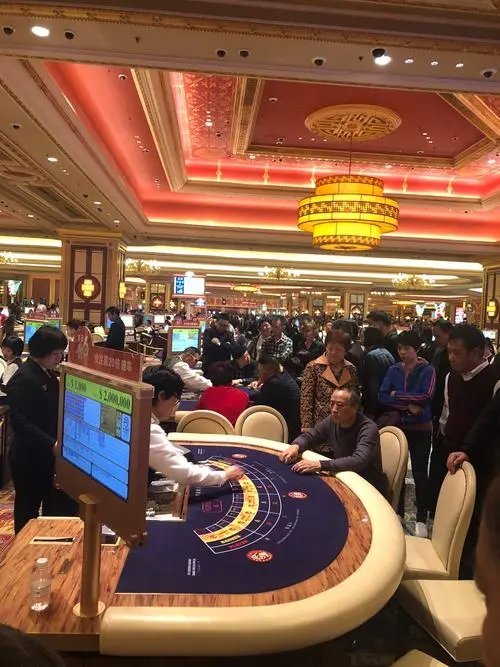 澳门黑庄内部一码,澳门黑庄内部一码揭秘与探讨