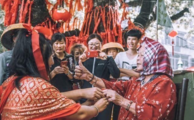 2025十二生肖49个码,探寻十二生肖与数字世界的神秘交汇，解码2025年十二生肖的49个数字密码