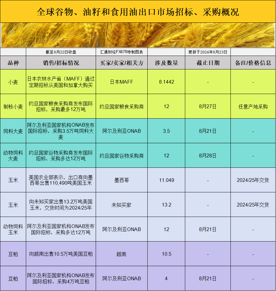 新闻 第253页
