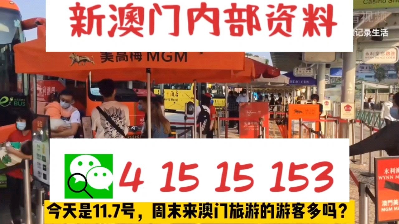 澳门一肖一码今晚中特,澳门一肖一码今晚中特，探索澳门彩票文化的魅力